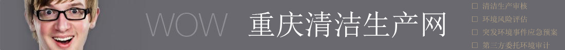 看看最专业的清洁生产审核、环境风险评估和突发环境事件应急预案技术咨询机构